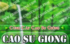 Nhiều thuận lợi trong đầu tư trồng cao su tại Oudomxay (CHDCND Lào)